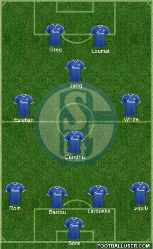 FC Schalke 04 Formation 2013