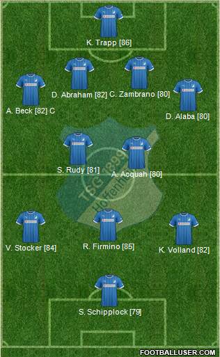 TSG 1899 Hoffenheim Formation 2013