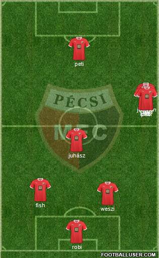 Pécsi Mecsek FC Formation 2013