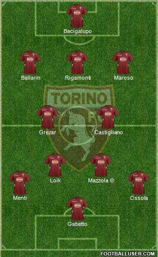 Torino Formation 2013