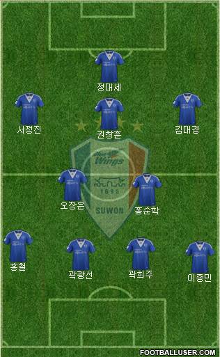 Suwon Samsung Blue Wings Formation 2013