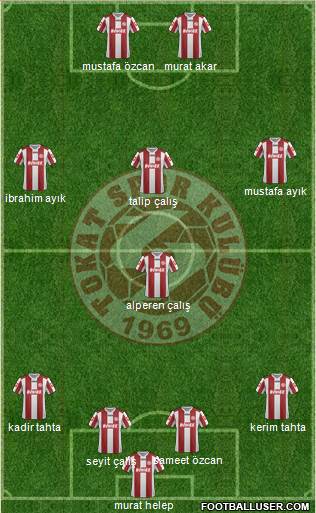 Tokatspor Formation 2013