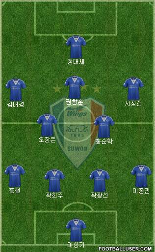 Suwon Samsung Blue Wings Formation 2013