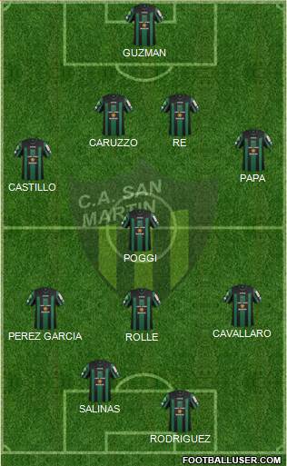 San Martín de San Juan Formation 2013