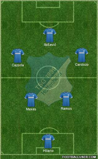 TSG 1899 Hoffenheim Formation 2013