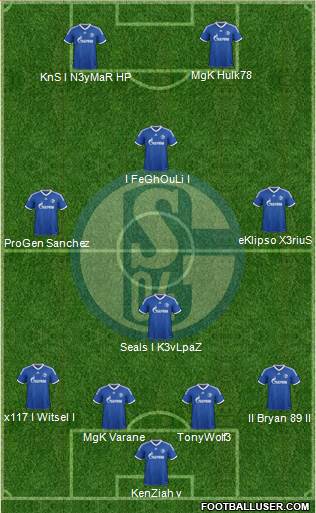 FC Schalke 04 Formation 2013