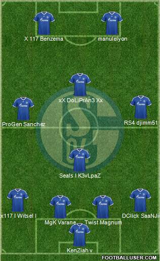 FC Schalke 04 Formation 2013