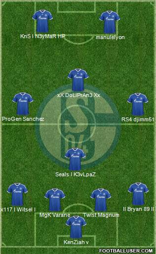 FC Schalke 04 Formation 2013