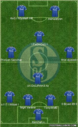 FC Schalke 04 Formation 2013