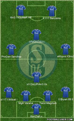 FC Schalke 04 Formation 2013