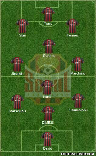 FC Seoul Formation 2013