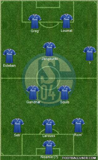 FC Schalke 04 Formation 2013