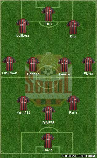 FC Seoul Formation 2013