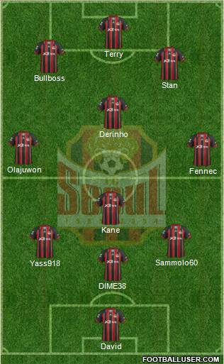 FC Seoul Formation 2013