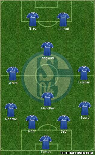 FC Schalke 04 Formation 2013