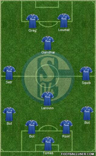 FC Schalke 04 Formation 2013