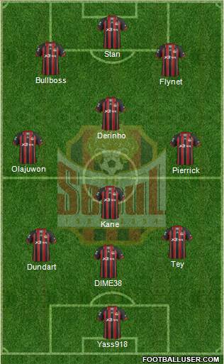 FC Seoul Formation 2013