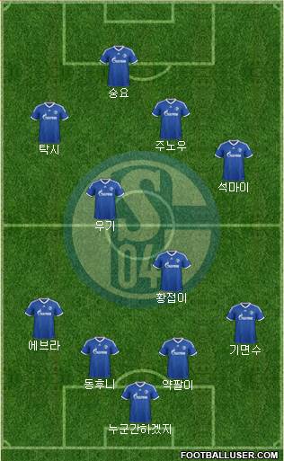 FC Schalke 04 Formation 2013