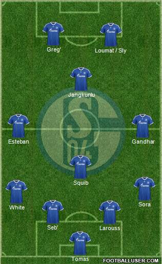 FC Schalke 04 Formation 2013