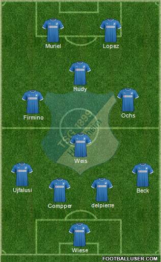 TSG 1899 Hoffenheim Formation 2013