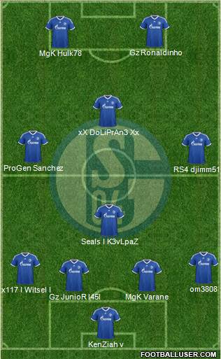 FC Schalke 04 Formation 2013