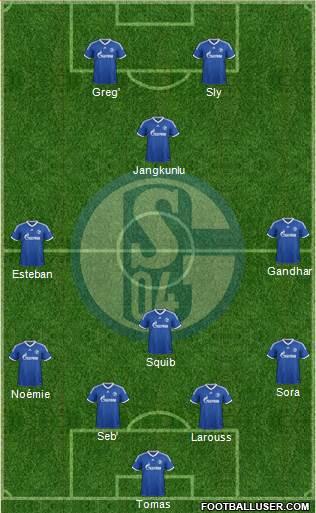 FC Schalke 04 Formation 2013