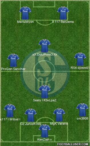 FC Schalke 04 Formation 2013