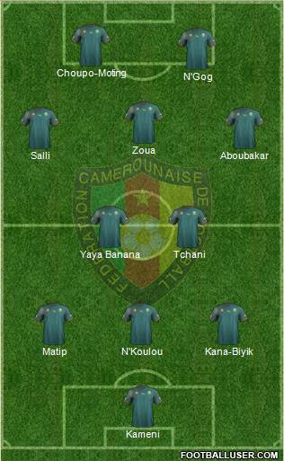 Cameroon Formation 2013