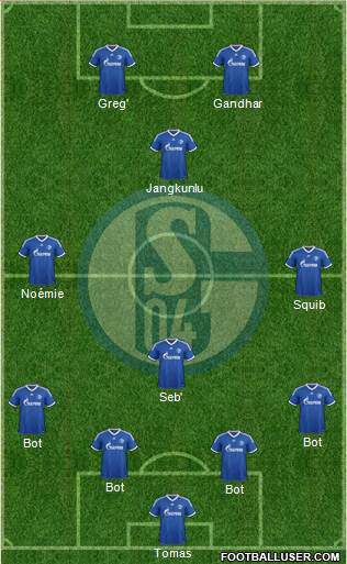 FC Schalke 04 Formation 2013