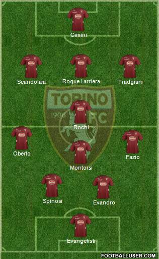 Torino Formation 2013