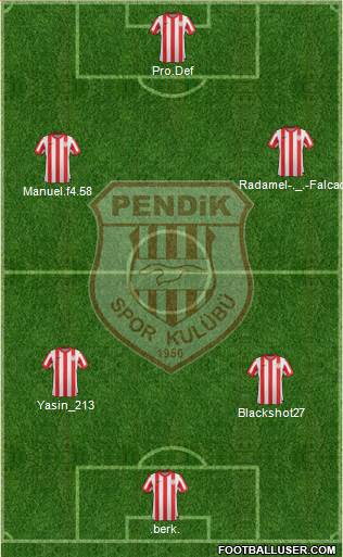 Pendikspor Formation 2013