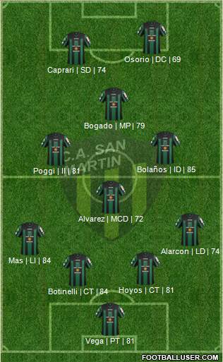 San Martín de San Juan Formation 2013