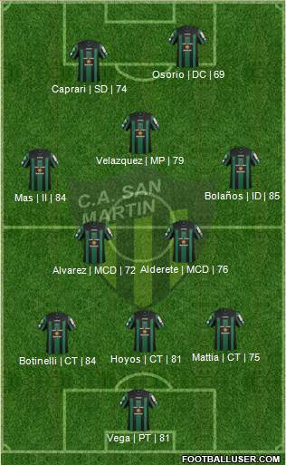 San Martín de San Juan Formation 2013