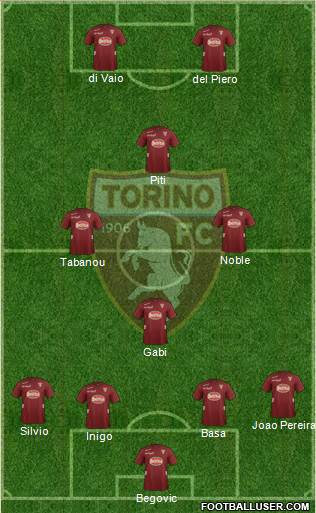 Torino Formation 2013