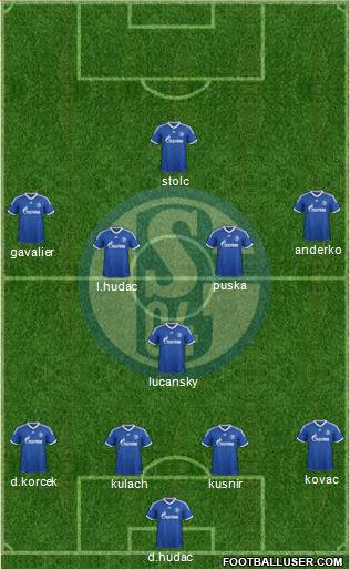 FC Schalke 04 Formation 2013