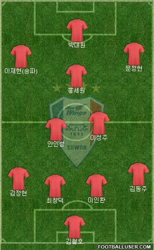 Suwon Samsung Blue Wings Formation 2013