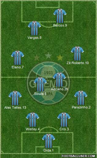 Grêmio FBPA Formation 2013