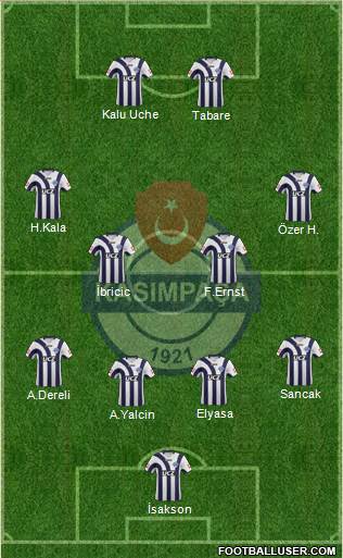 Kasimpasa Formation 2013