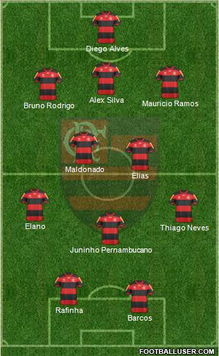 CR Flamengo Formation 2013