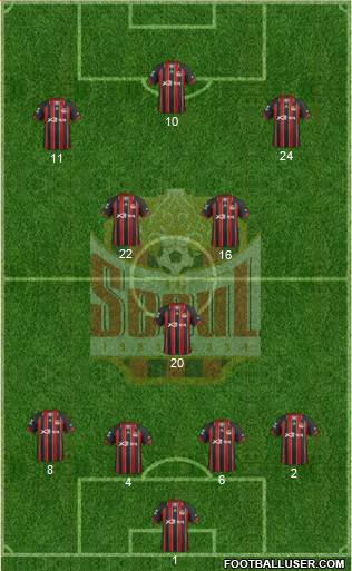 FC Seoul Formation 2013