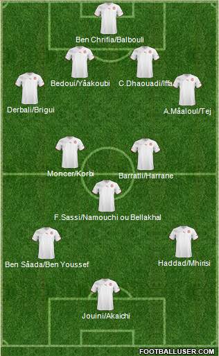 Tunisia Formation 2013