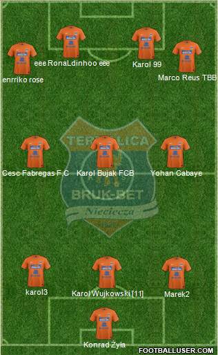 Termalica Bruk-Bet Nieciecza Formation 2013