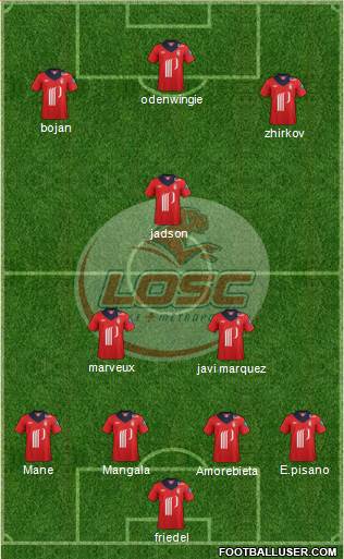 LOSC Lille Métropole Formation 2013