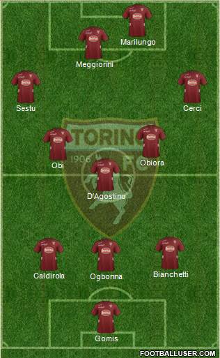 Torino Formation 2013