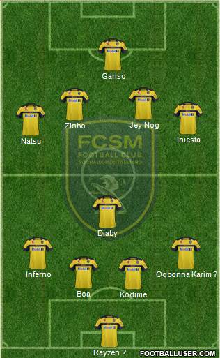 FC Sochaux-Montbéliard Formation 2013