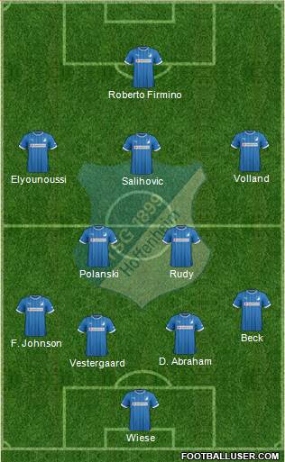 TSG 1899 Hoffenheim Formation 2013