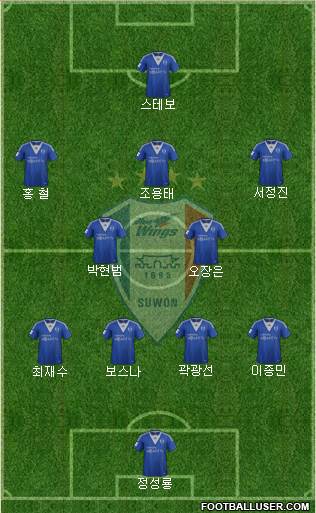 Suwon Samsung Blue Wings Formation 2013