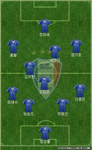 Suwon Samsung Blue Wings Formation 2013