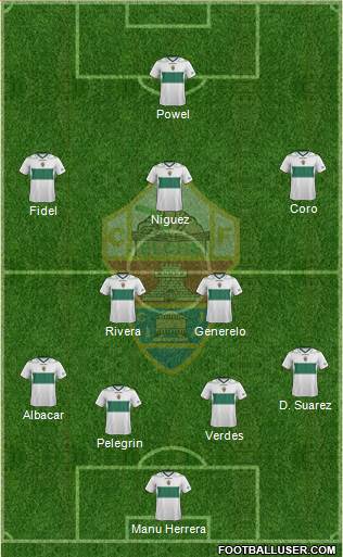 Elche C.F., S.A.D. Formation 2013