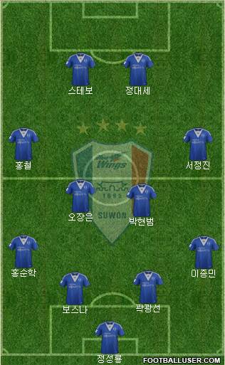 Suwon Samsung Blue Wings Formation 2013